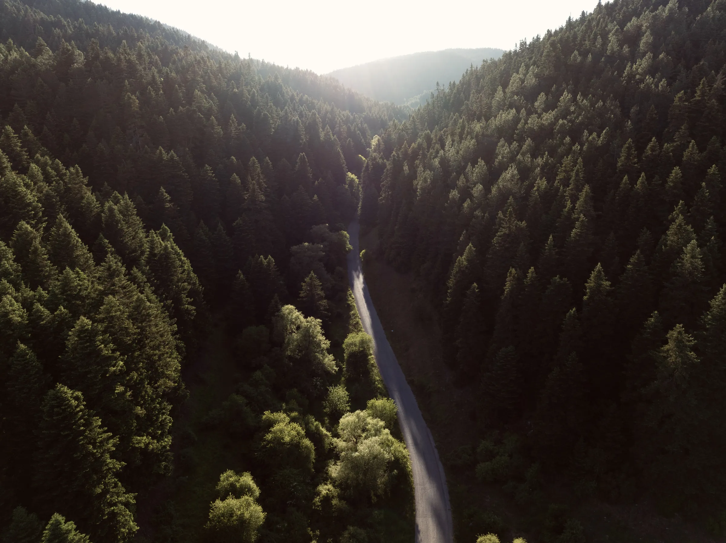 A narrow road following a valley between forested slopes in Arcadia