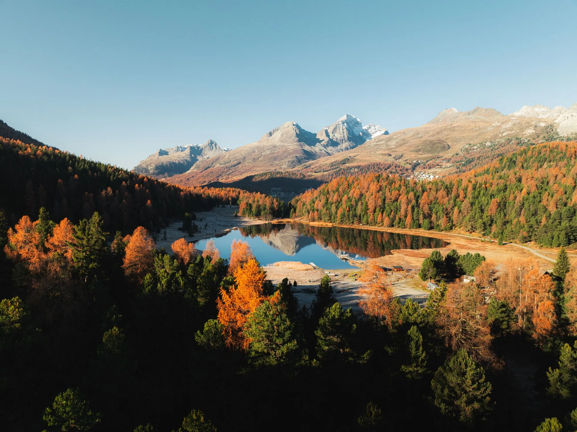 Golden autumn larches in the Upper Engadin