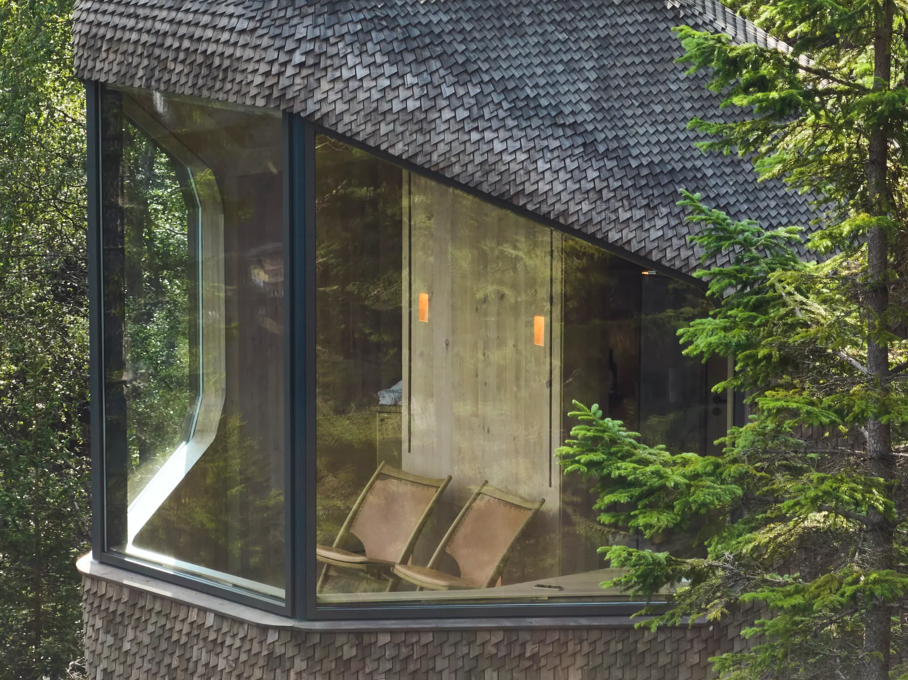 Woodnest's panoramic glass façade reflecting the surrounding forest