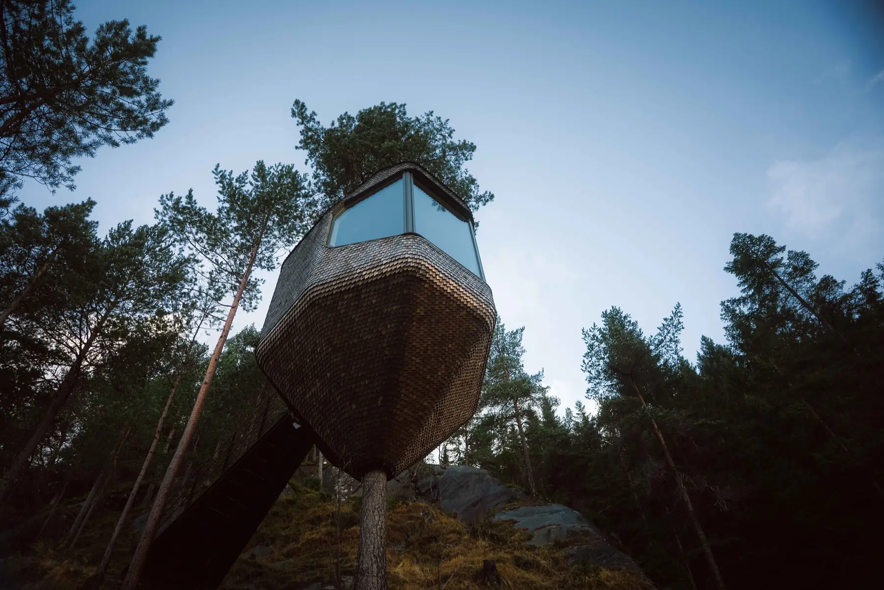 Woodnest rising above the forest beneath an open blue sky