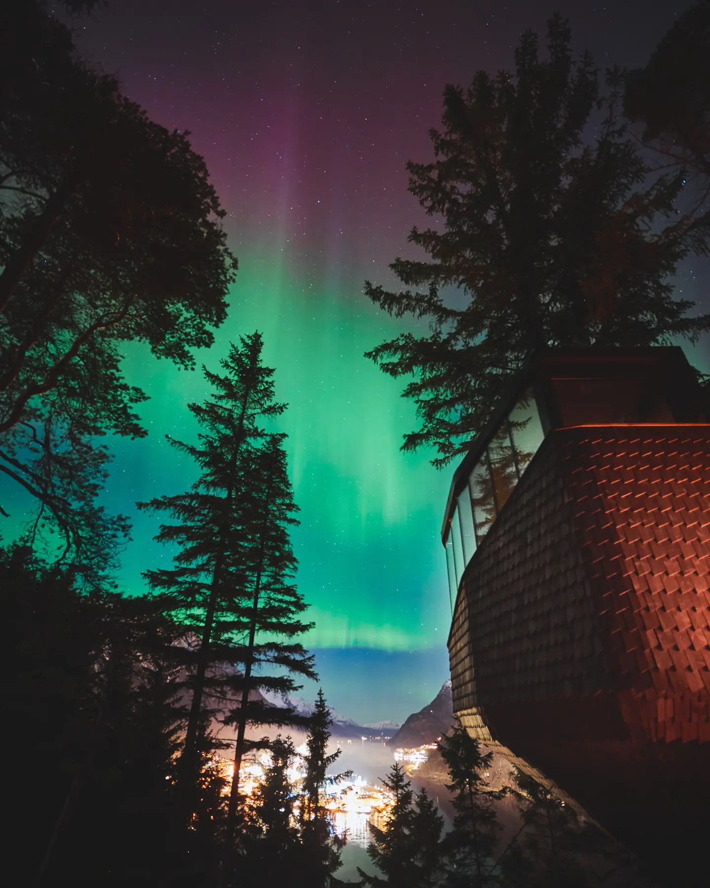 Northern lights glowing above Woodnest and the Hardangerfjord